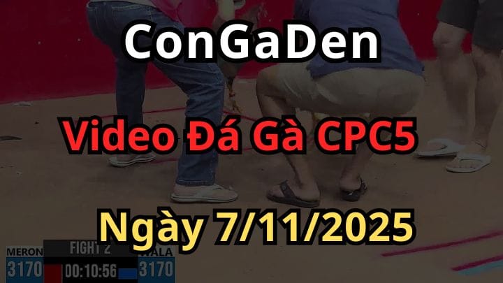 Xem Trực Tiếp Đá Gà CPC5 Ngày 7/11/2025 Phát Lại